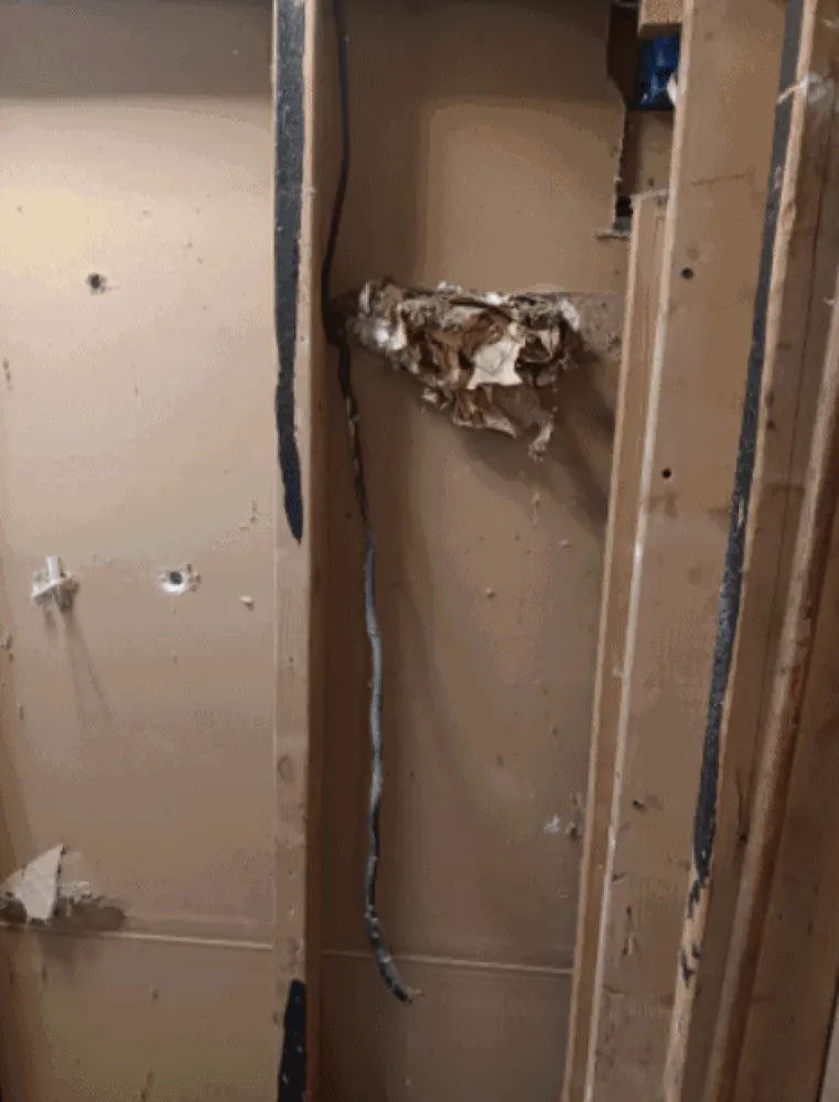 Slide of RW Suesse Maintenance