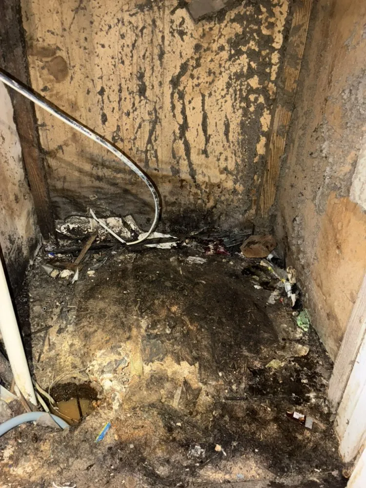 Slide of Rym Service