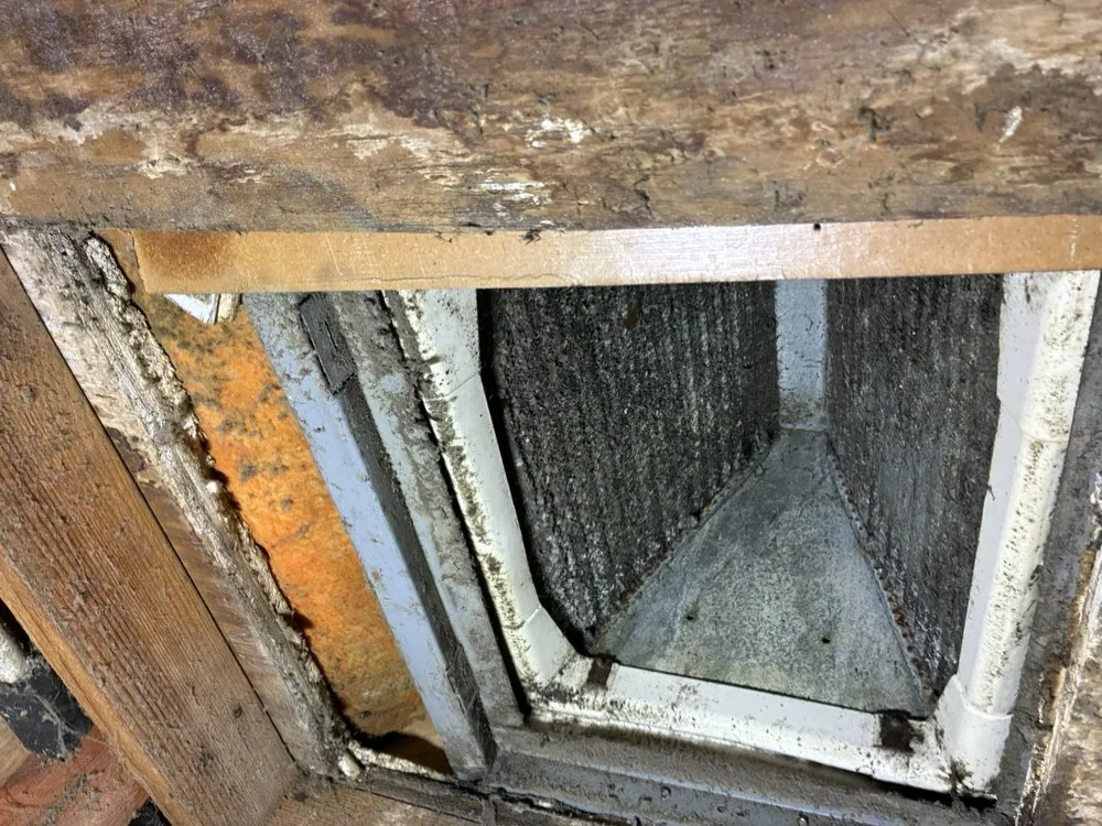 Slide of Rym Service