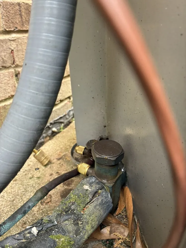 Slide of Rym Service