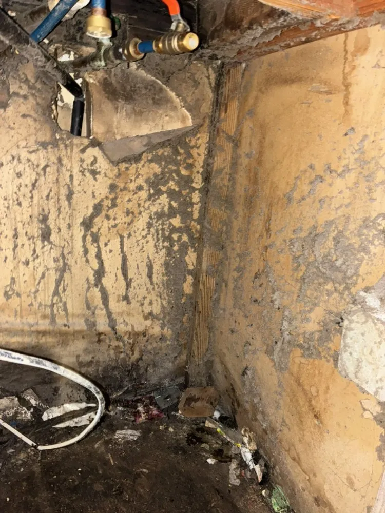 Slide of Rym Service