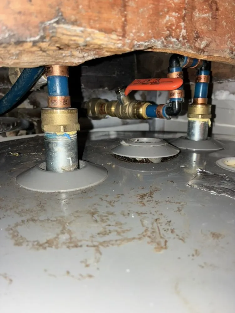 Slide of Rym Service