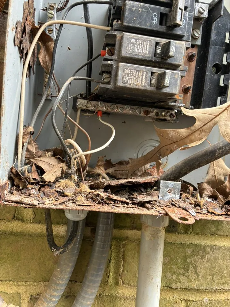 Slide of Rym Service