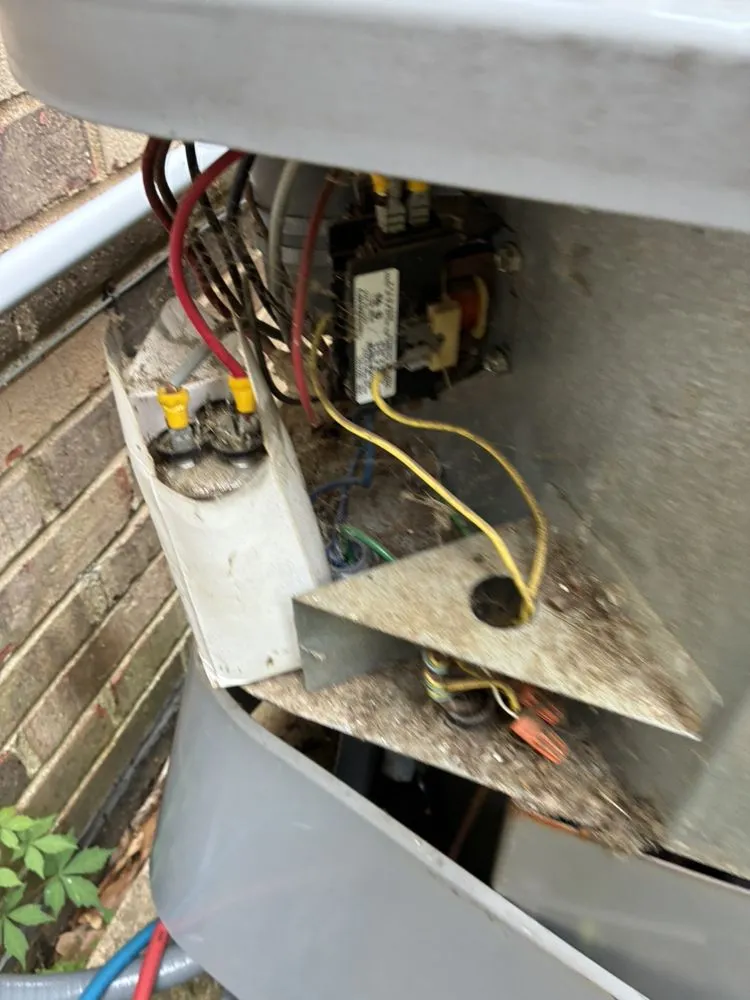 Slide of Rym Service