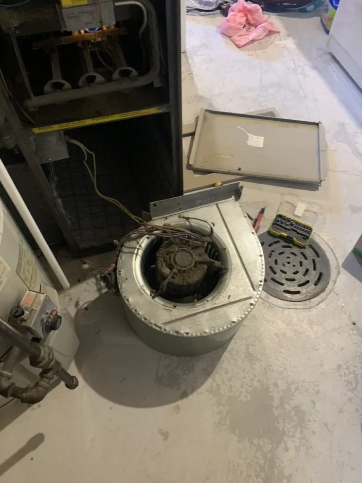 Slide of Ryp Mechanical