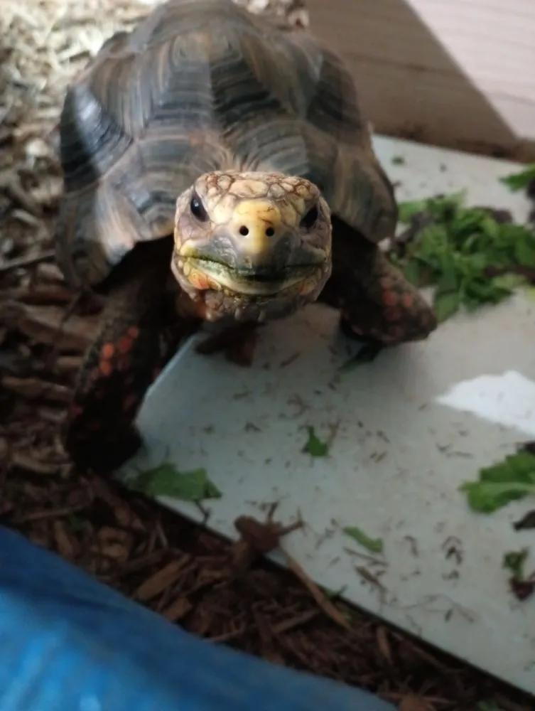 Slide of S and J Heating and Air