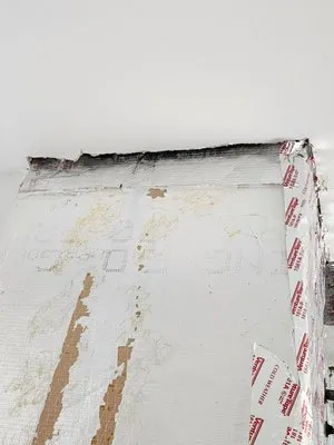 Safari Home Services Logo