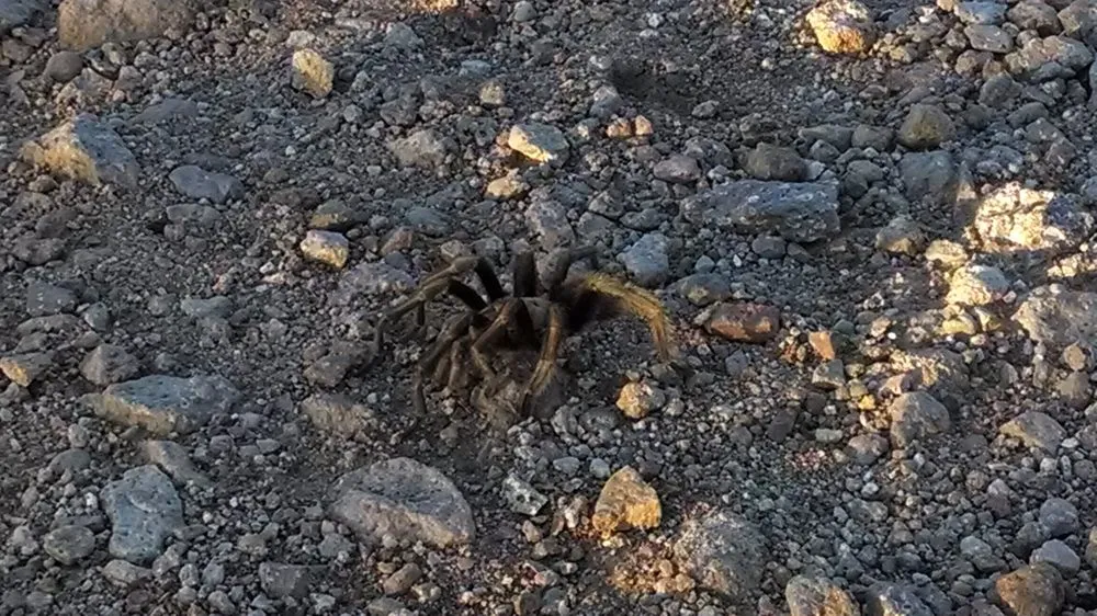 Slide of Sage Air Conditioning And Heating