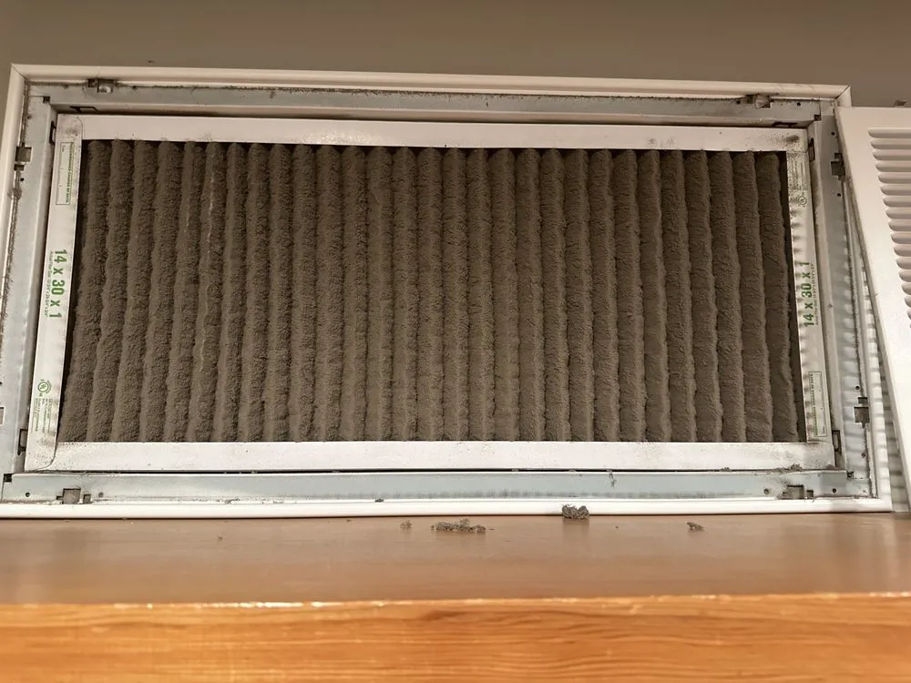 Slide of Saki Brothers