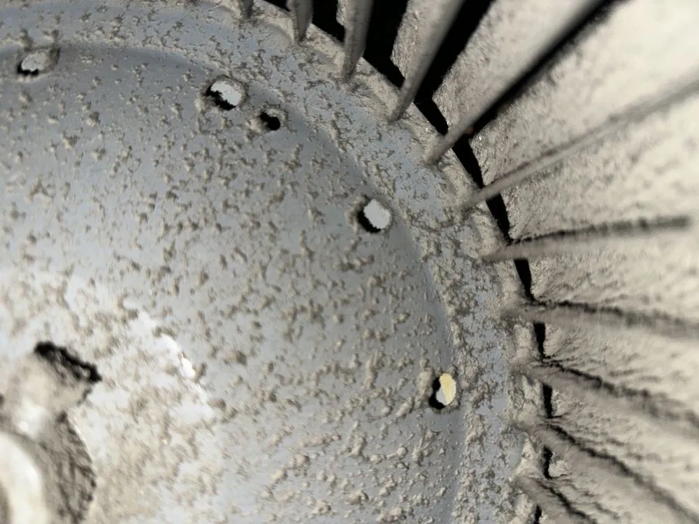 Slide of Saki Brothers