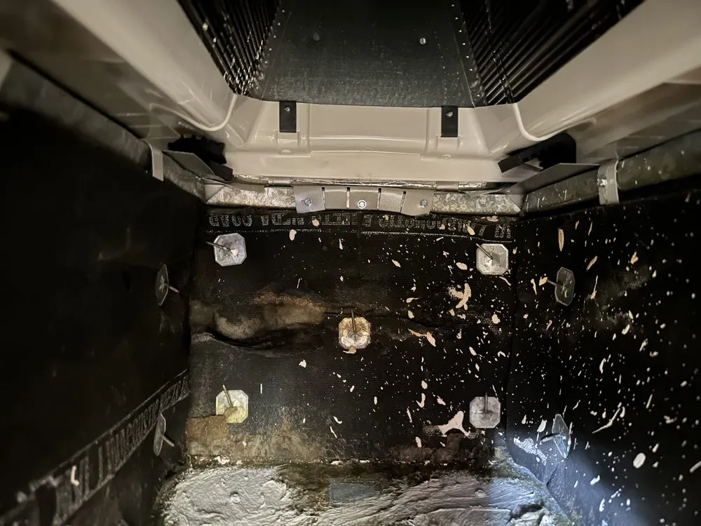 Slide of Saki Brothers