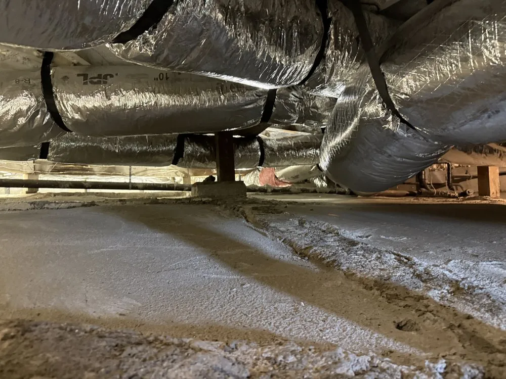 Slide of Saki Brothers