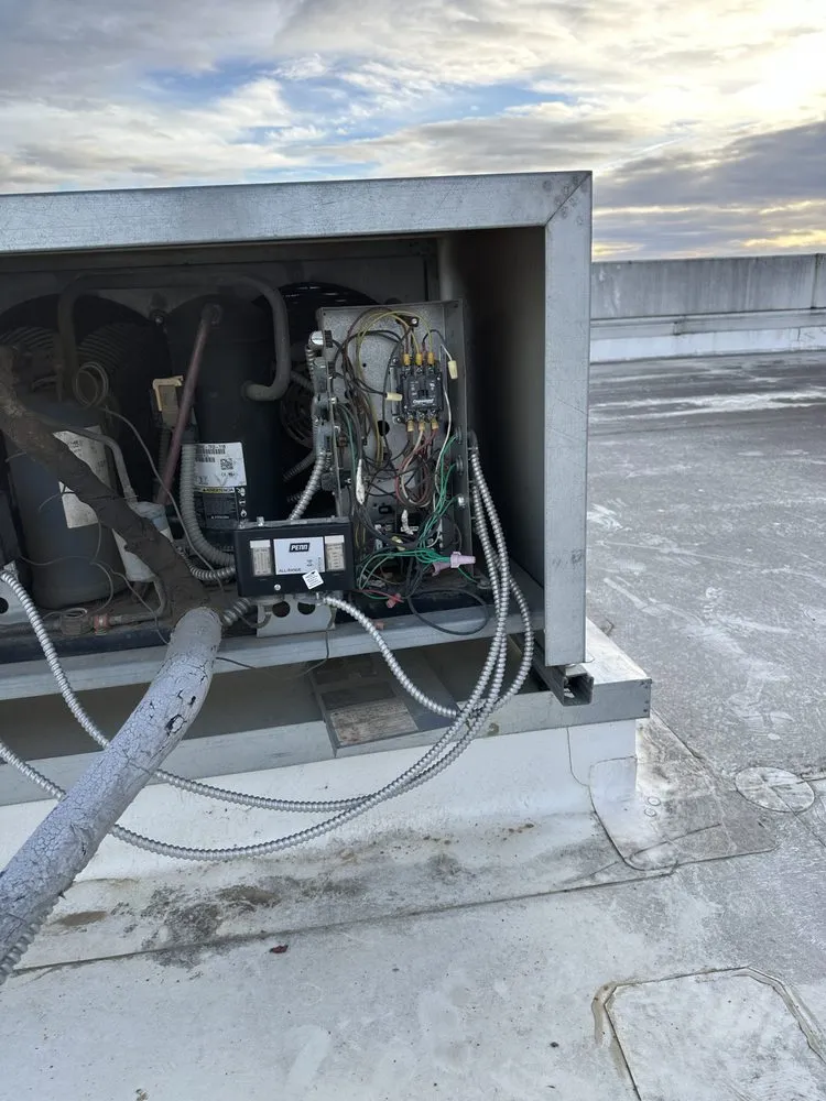 Slide of Saki Brothers