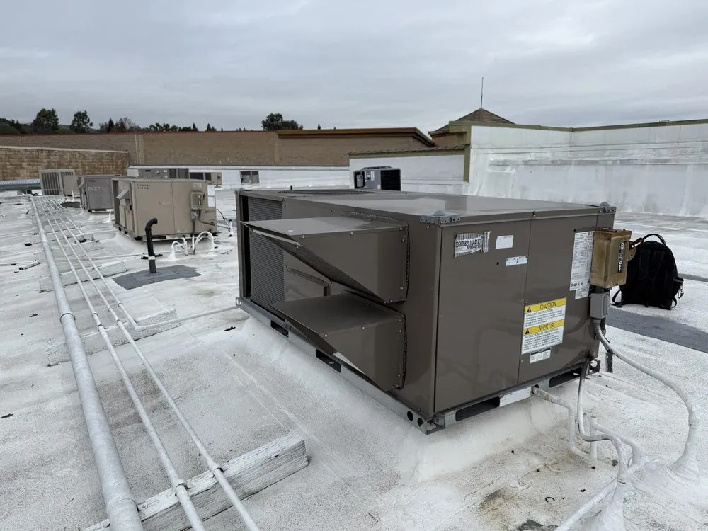 Slide of Saki Brothers