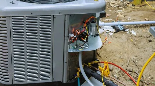 Slide of Salego And Sons