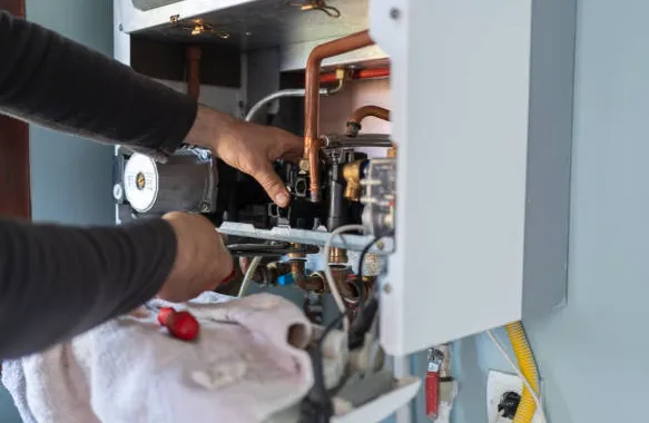 Slide of Salego And Sons