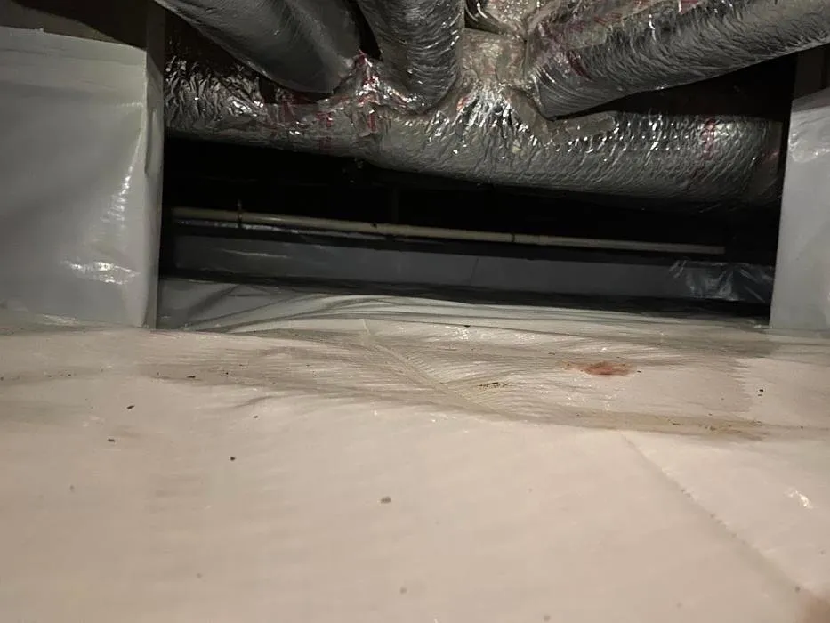 Slide of Salem Services