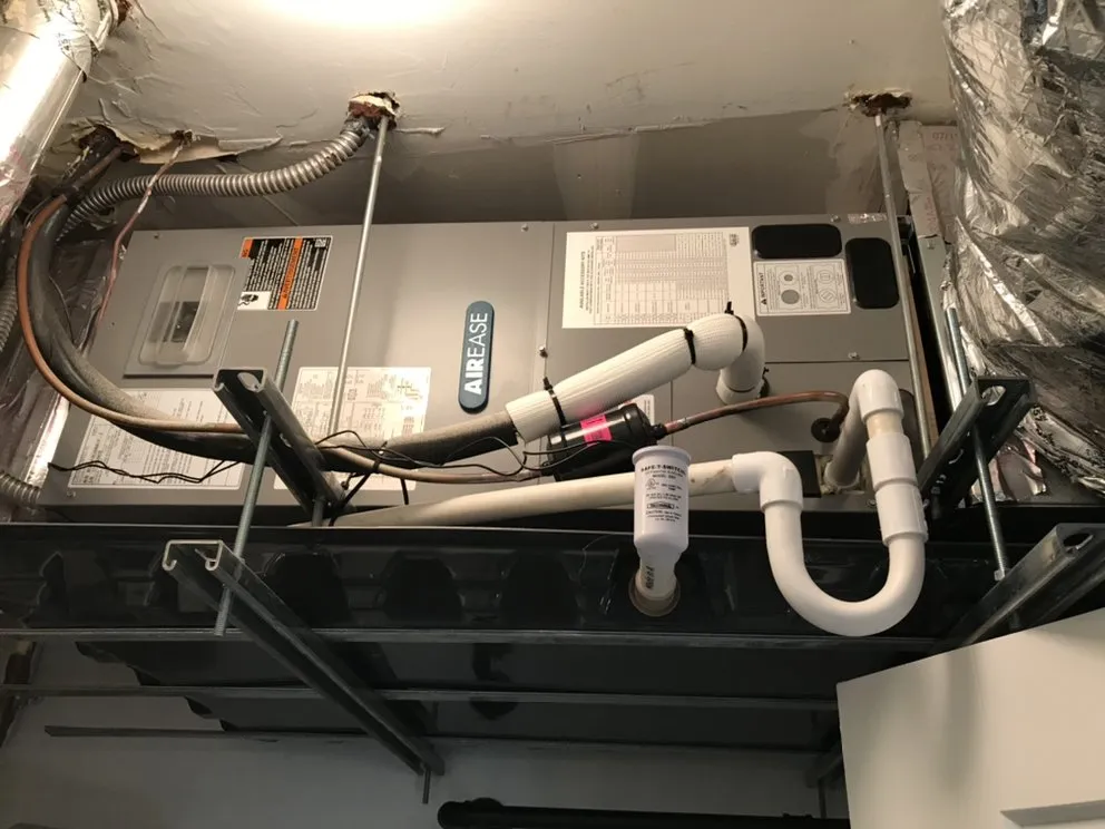 Slide of Salmons Heating And Cooling