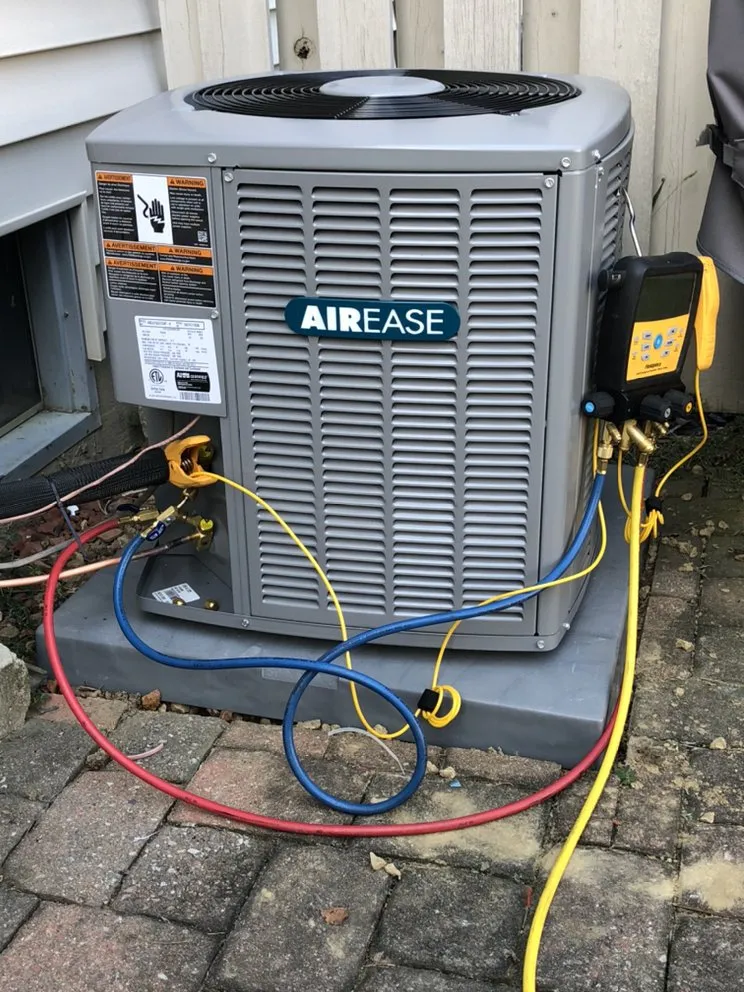 Slide of Salmons Heating And Cooling