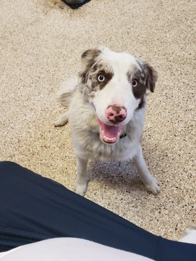 Slide of Sal's Heating & Cooling, Plumbing & Sewer