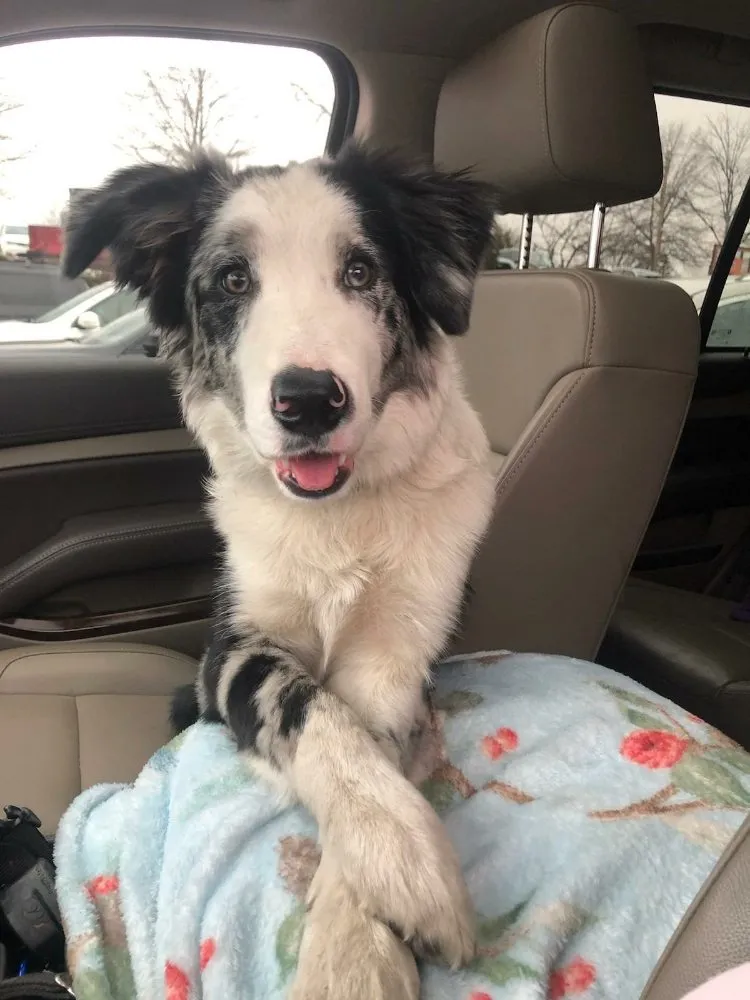 Slide of Sal's Heating & Cooling, Plumbing & Sewer