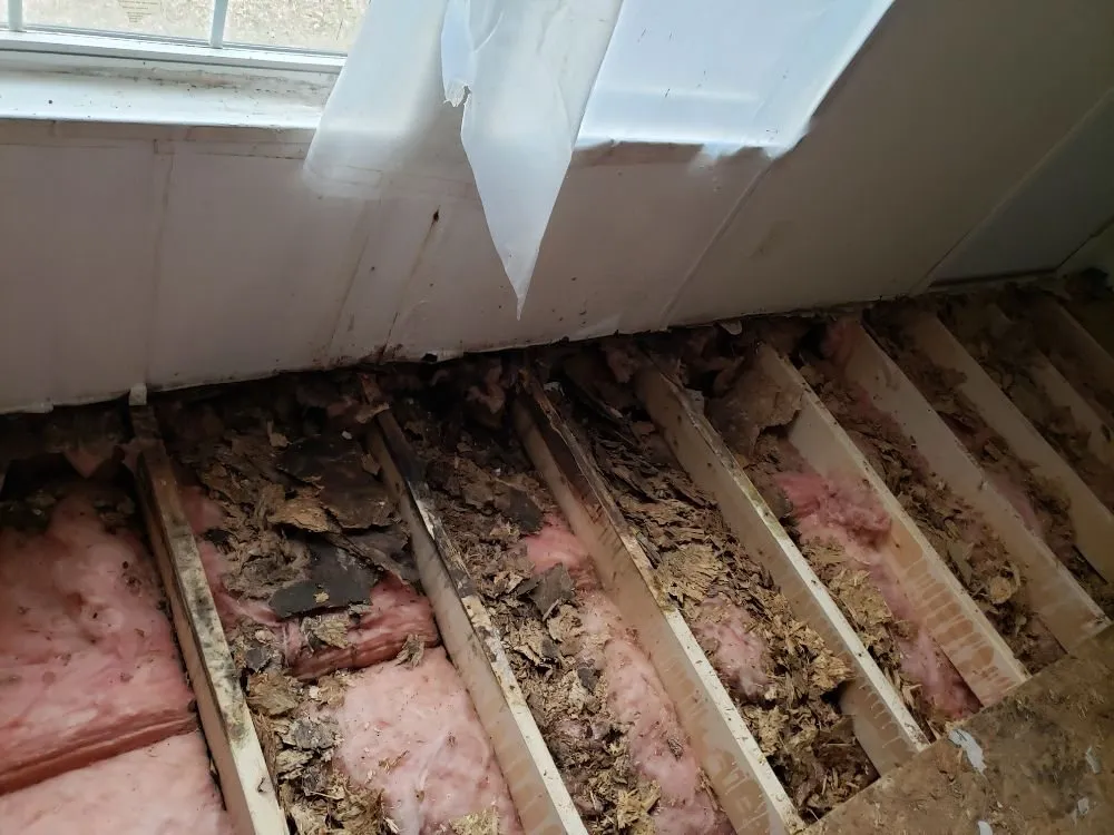 Slide of Samco's Contracting