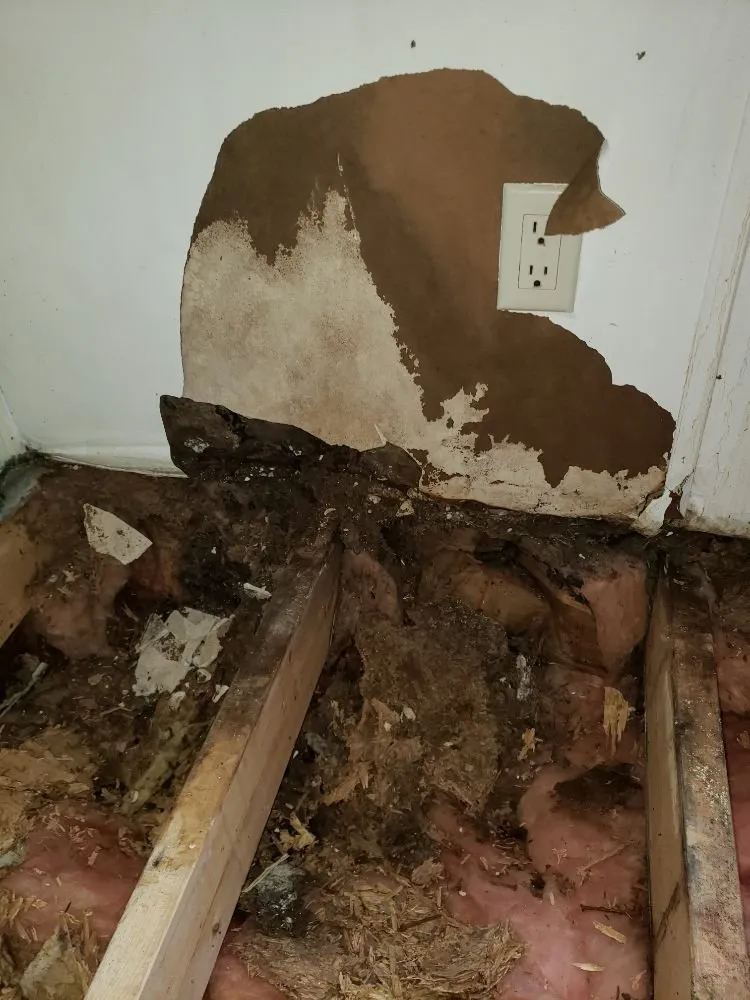 Slide of Samco's Contracting