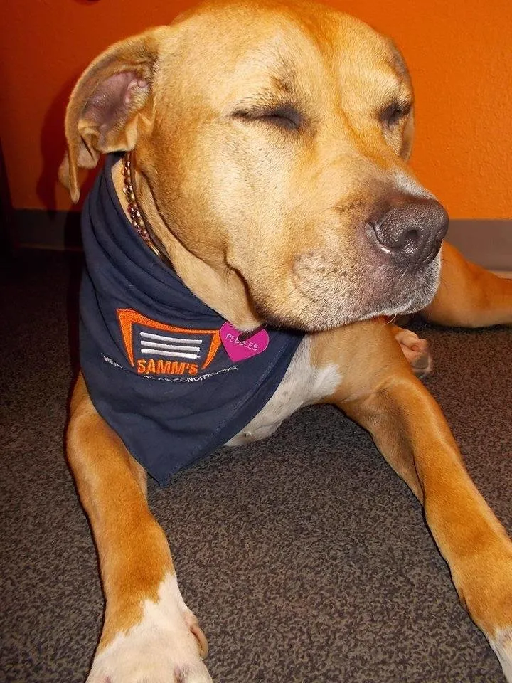 Slide of Samm's Heating and Air Conditioning