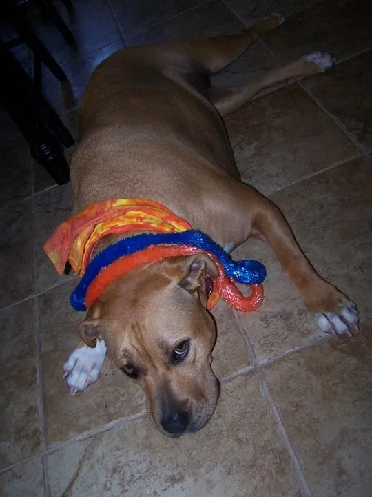 Slide of Samm's Heating and Air Conditioning