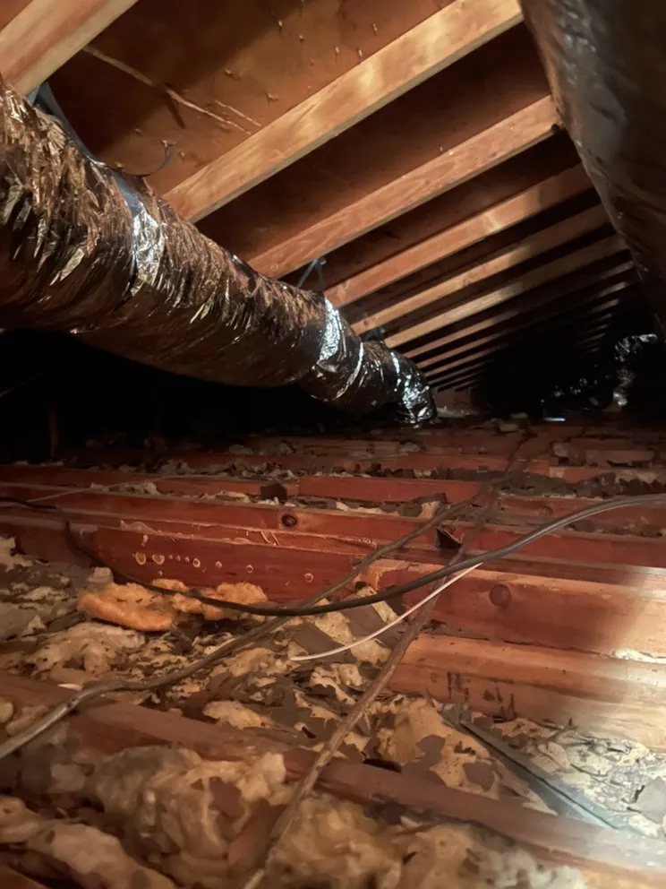 Slide of Sammys Appliance