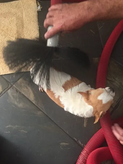 Slide of San Diego Dryer Vent Cleaning