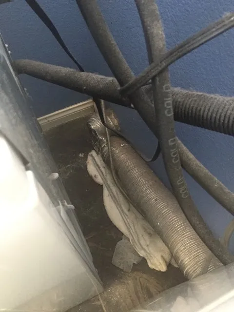 Slide of San Diego Dryer Vent Cleaning