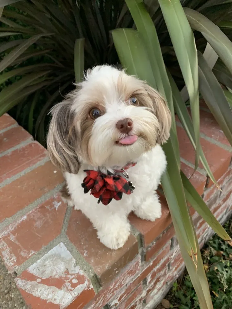Slide of San Diego Dryer Vent Cleaning
