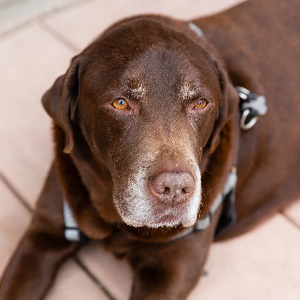 Slide of San Diego Plumbing Heating Air