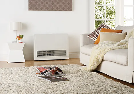 Slide of Save Home Heat