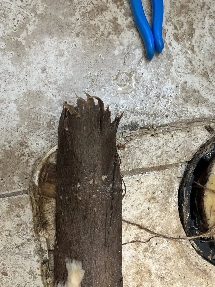 Slide of SC Home Services