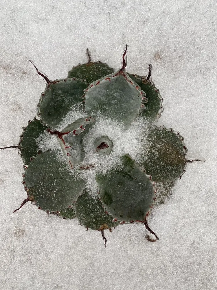 Slide of Scary Cold AC