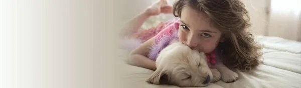 Schaus Roofing & Mechanical Contractors