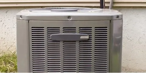 Slide of Schenerlein & Sligar