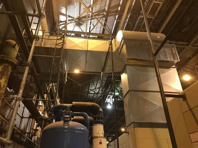 Slide of Schenerlein & Sligar