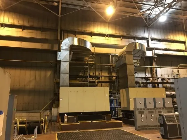 Slide of Schenerlein & Sligar