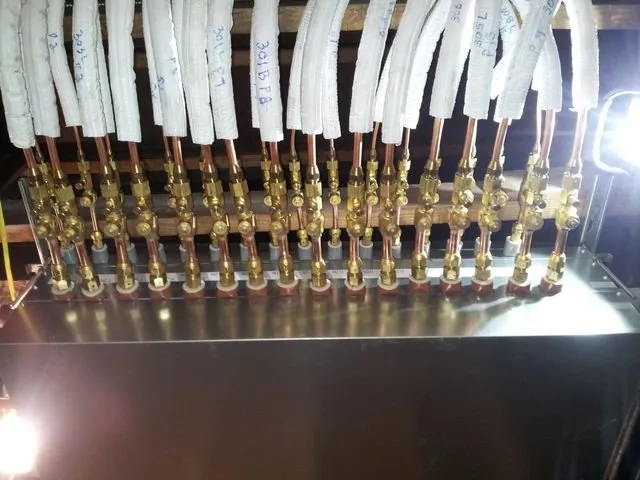 Slide of Schenerlein & Sligar