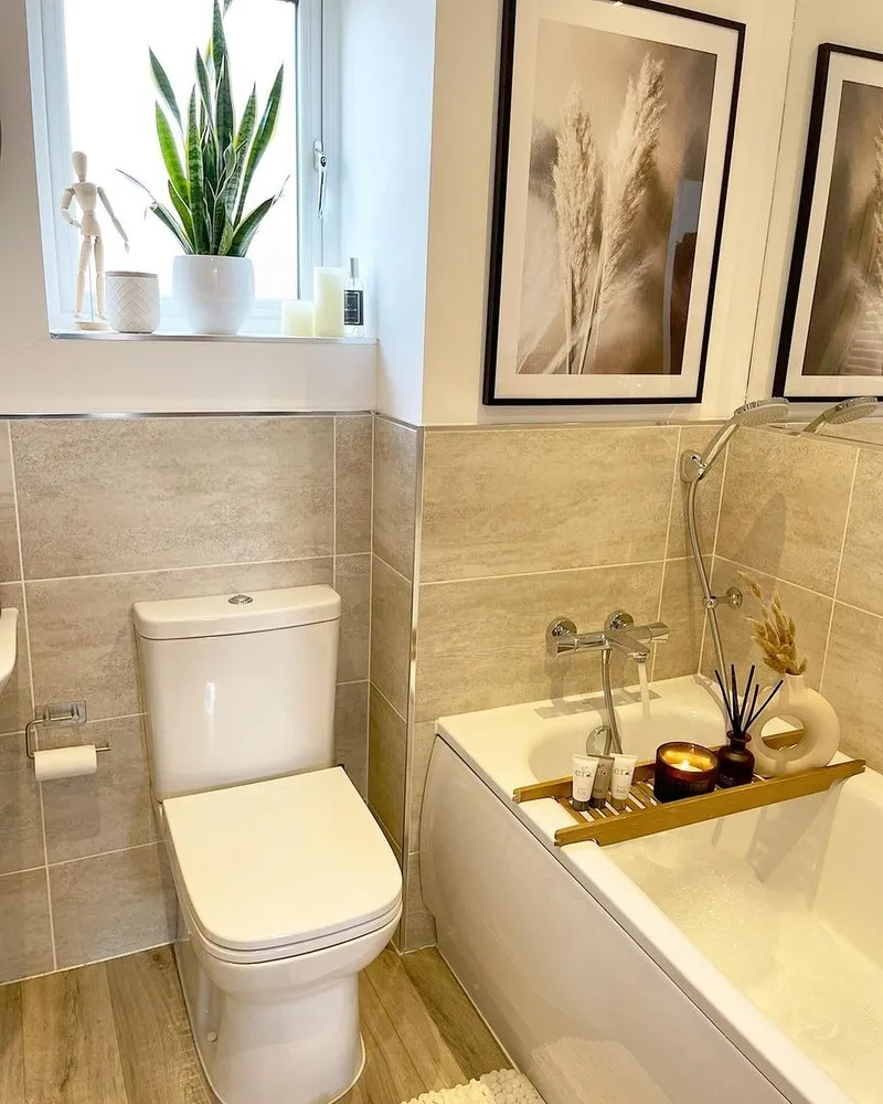 Slide of Schiller Woods Plumbing & Drain