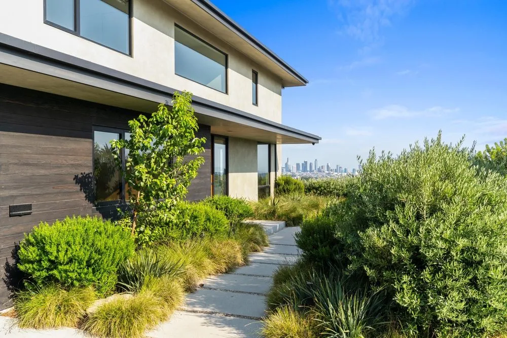 Slide of Schirmeister-Vinci