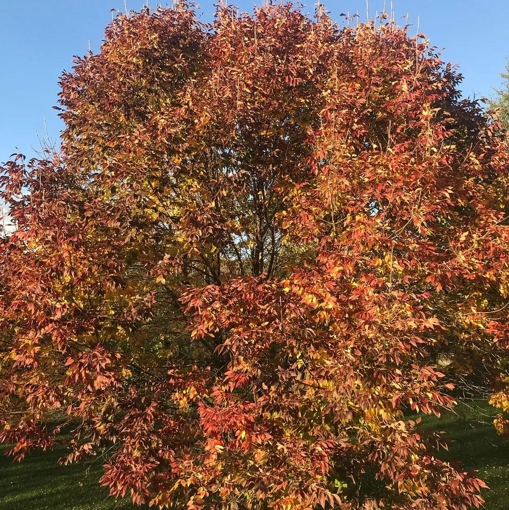 Slide of Schomburg Heating & Cooling