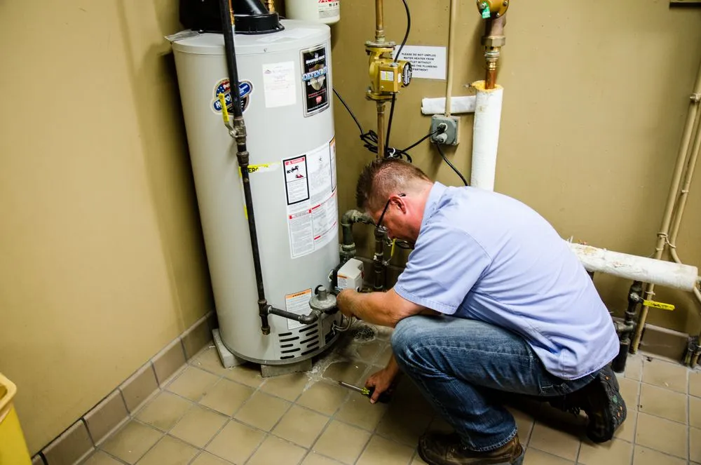 Slide of Schwickert’s Tecta America