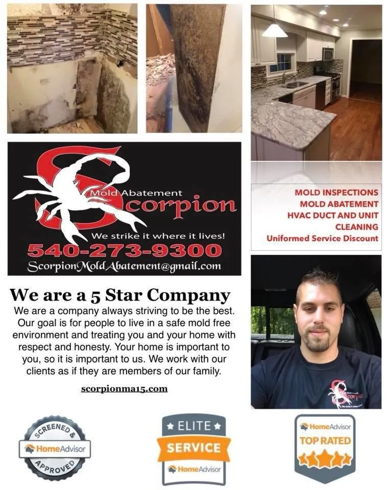 Slide of Scorpion Mold Abatement