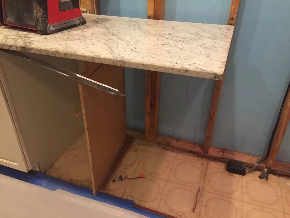 Slide of Scorpion Mold Abatement