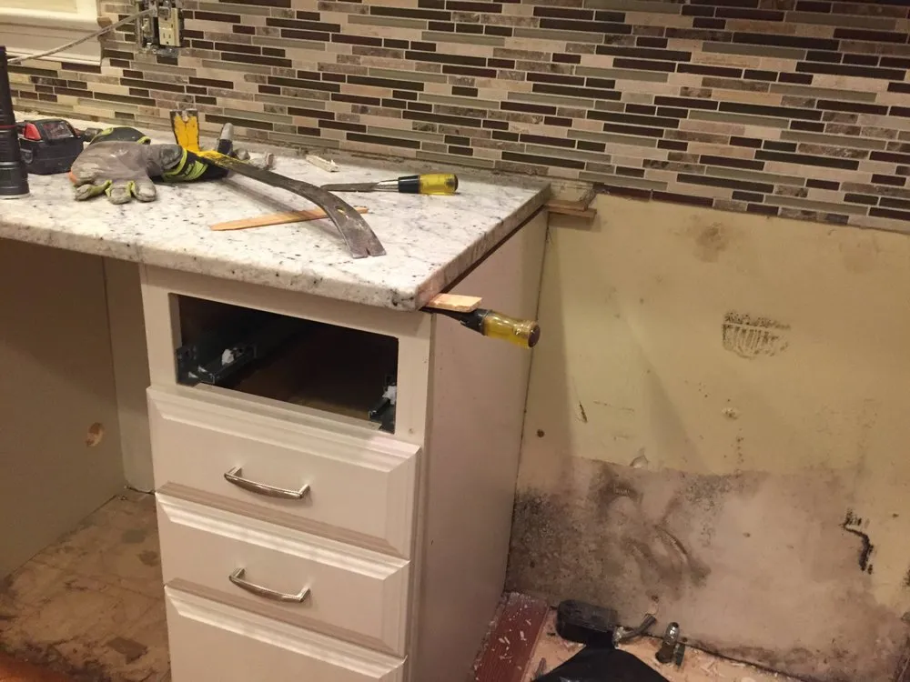 Slide of Scorpion Mold Abatement