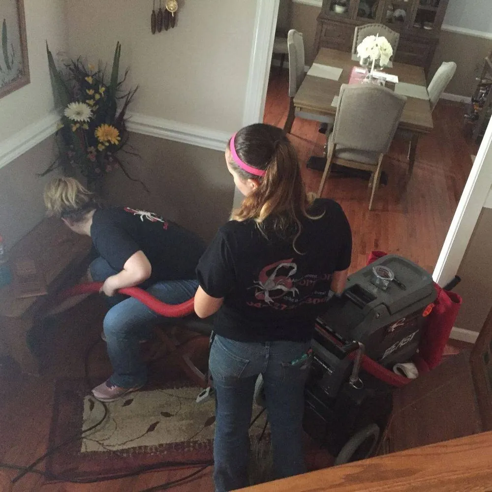 Slide of Scorpion Mold Abatement